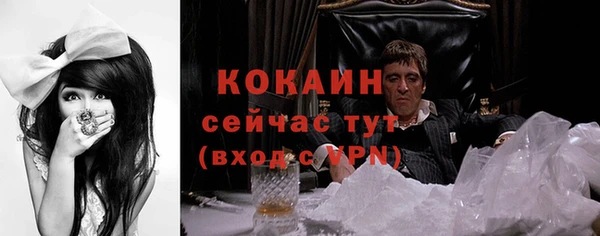 spice Арсеньев