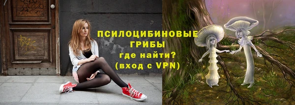 а пвп мука Армянск
