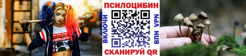 Галлюциногенные грибы прущие грибы  Суворов 