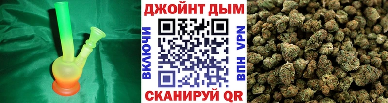 Шишки марихуана планчик  Суворов 